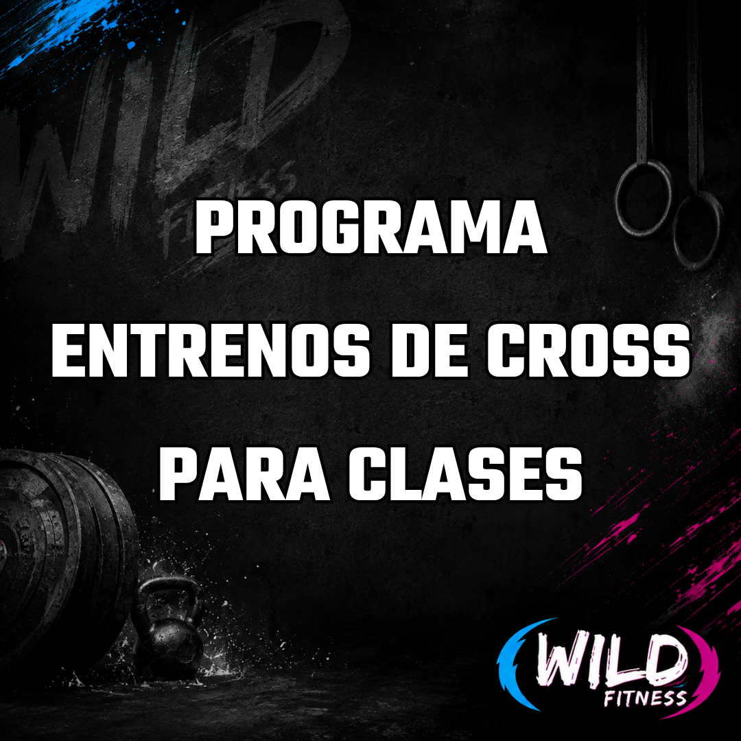 PROGRAMA ENTRENOS DE CF