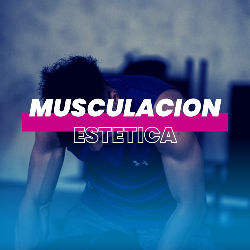 MUSCULACION Y ESTETICA